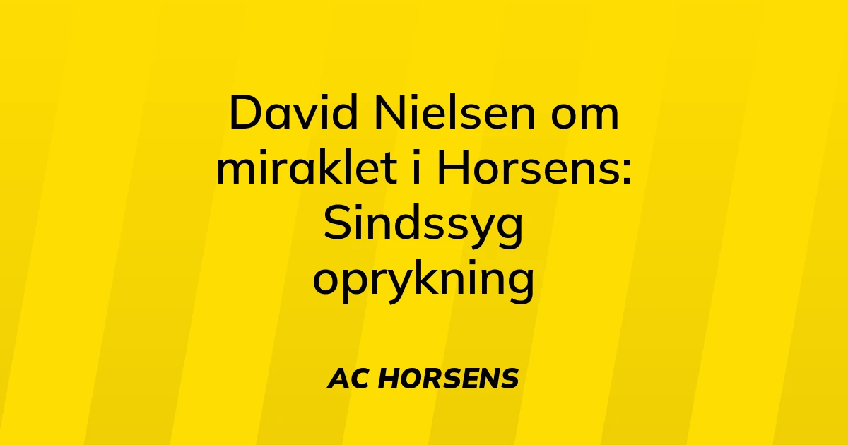73082194-david-nielsen-om-miraklet-i-horsens-sindssyg-oprykning