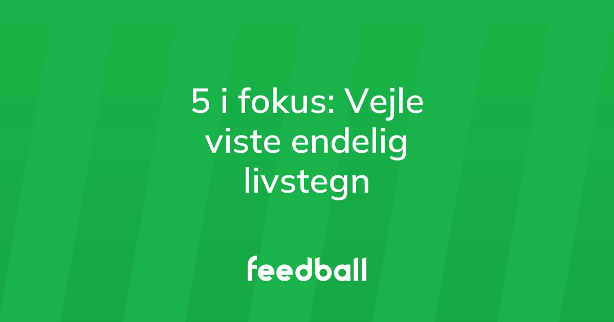 74285916-5-i-fokus-vejle-viste-endelig-livstegn