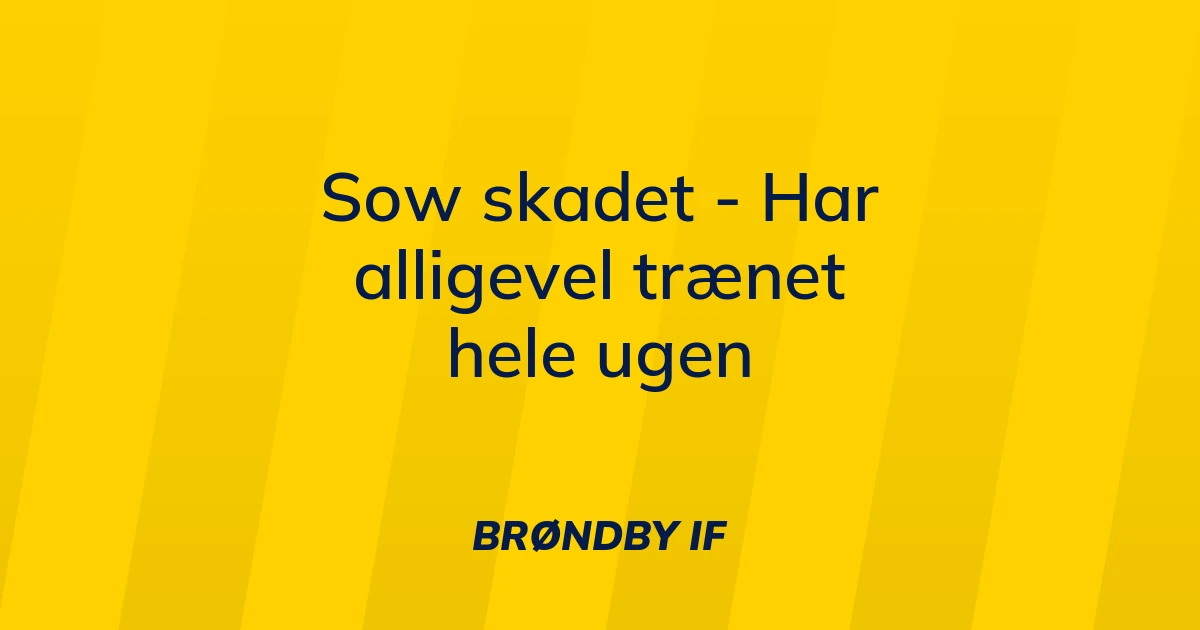 74291386-sow-skadet-har-alligevel-traenet-hele-ugen